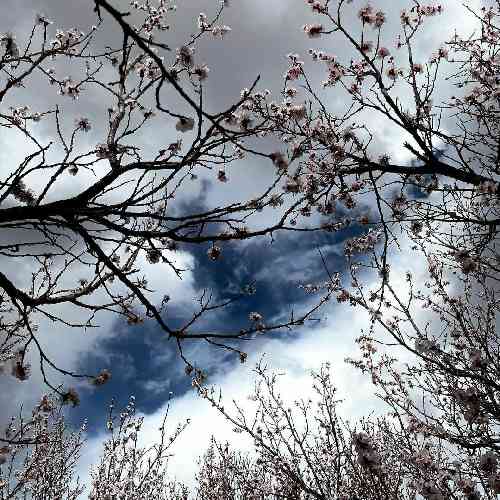  یه روزایی لش میطلبه دِ هر روز که باشگاه نشد